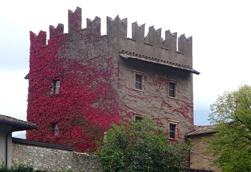 Castelli,Torri e Palazzi.....del Trentino